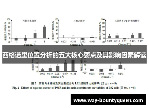 西格诺里位置分析的五大核心要点及其影响因素解读