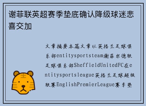 谢菲联英超赛季垫底确认降级球迷悲喜交加